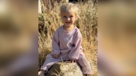 Family asks for support and forgiveness after toddler killed in Layton accident