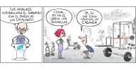 El gym
