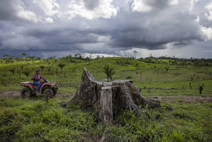 ¿Qué causa la sequía en la Amazonía? Un estudio tiene la respuesta