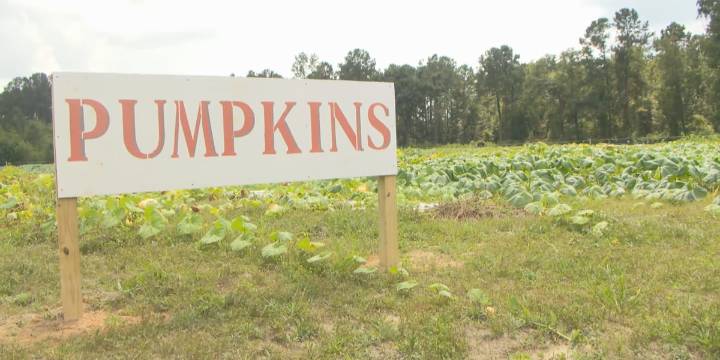 Madrac Farms prepares to open for first weekend of the season