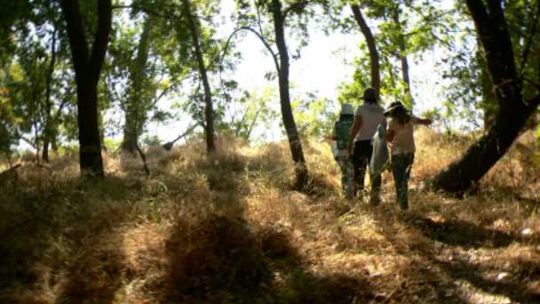 1,200 volunteers fan out to beautify American River Parkway