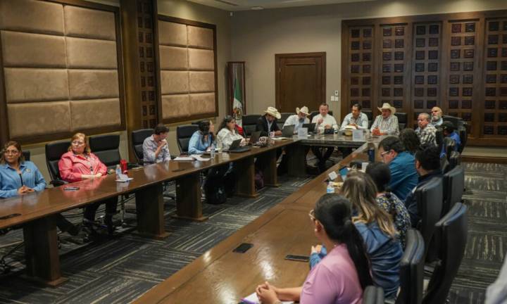 Presenta Chihuahua a USDA avances en estrategia contra el Gusano Barrenador del Ganado
