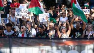 El secreto de los radicales propalestinos: "Les conviene la oscuridad"