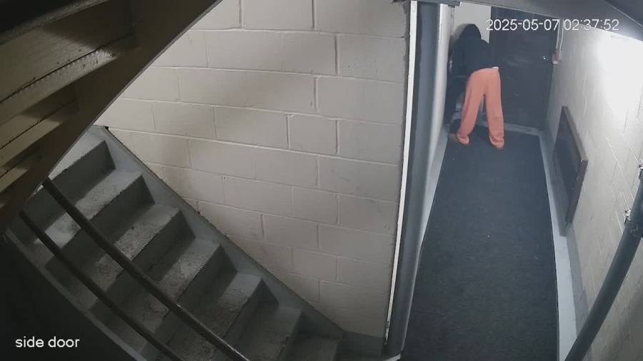 Local man to be sentenced after dog abuse video