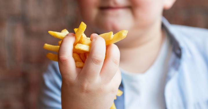 ¿Por qué la prevención de la obesidad infantil es insuficiente?, conozca lo que dicen los expertos