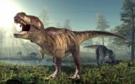 Is it possible to recreate dinosaurs from their DNA?