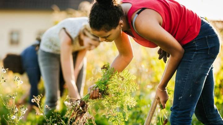 How to get rid of weeds for good, according to a gardening expert 