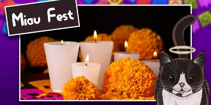 Miau Fest 2025: todo lo que debes saber el evento gatuno de Día de Muertos en CDMX