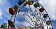 Fall into fun: Celebrate the season with local flavors and festivities