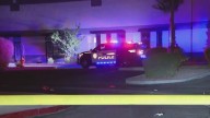 Mesa Police investigate shooting at a business