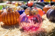 Bay Area events calendar for Sept. 26 weekly editions