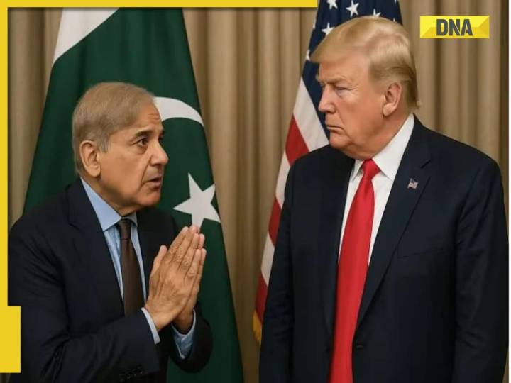 Trump praises Pakistan for backing Gaza Peace Plan, why did he ignore India?