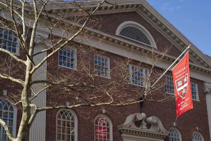 Jueza declara ilegal el bloqueo de fondos a Harvard por parte de Trump