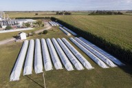 Hay U$9300 millones. La volatilidad cambiaria enfrió la decisión de vender granos de los productores