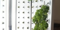 Flex farms provide Southwest Wisconsin schools with new agricultural opportunities