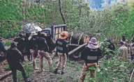 Cercarán áreas para prevenir tala ilegal en la CDMX