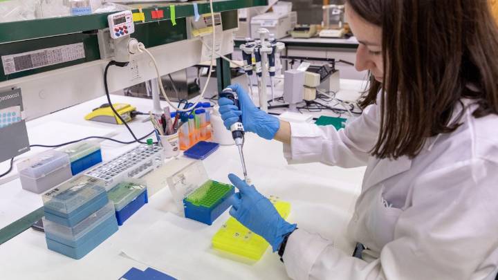 Nuevo avance contra el cáncer hepático liderado por el Centro de Investigación de Salamanca