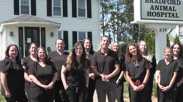 Wake Up Call from Bradford Animal Hospital