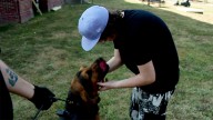 A teen missing for 3 days needed a miracle — a dog came to the rescue