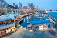 Discover Washington’s world
