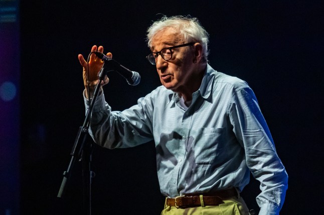 Woody Allen says ‘charming and personable Jeffrey Epstein couldn’t have been nicer’ at dinners