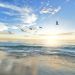 How to Navigate Life’s Overlapping Systems
