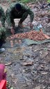 Fueron incautados más de tres mil proyectiles de las disidencias de las Farc