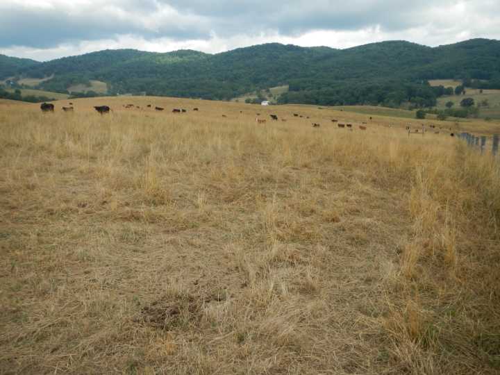 U.S. Drought Monitor says parts of 10 West Virginia counties in extreme drought