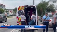 Two people hospitalized after being attacked by dog in North Miami