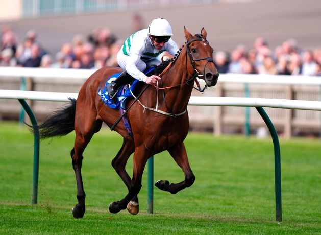 Wayne Bailey: Wise Approach the smart option at Newmarket