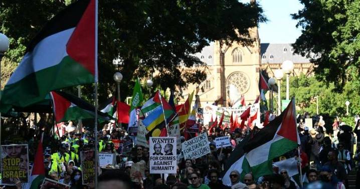 US-led Gaza peace deal with Israel 'could work'
