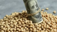 Las consecuencias de reducir las retenciones: “Genera muchos descalabros en la cadena propia del agro”
