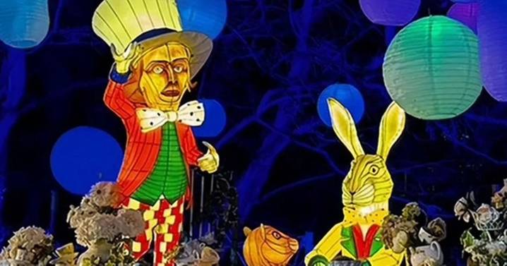 Bents garden centre launches all-new Alice in Wonderland Christmas light trail