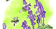 Human Condition: Let's go beyond the garden to improve relationships, a city, a nation