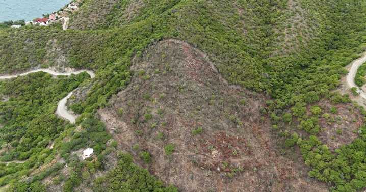 DADSA activa Proceso Sancionatorio por tala ilegal en cerros de Inca Inca