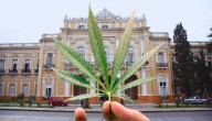Dale mecha | La legislatura salteña aprobó definitivamente el Registro Provincial de Cannabis Medicinal