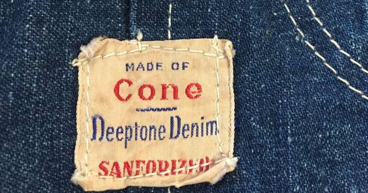 Global textile company plans to buy top stake in Cone Denim