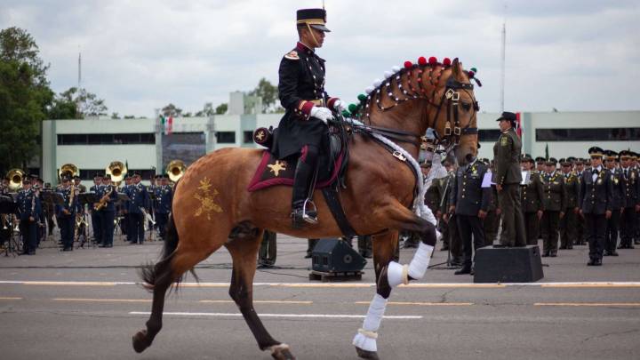 ¿Dónde Ver En Vivo el Desfile Militar del 16 de Septiembre 2025? Canal para Seguir el Recorrido