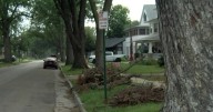 Still have tree debris? Lincoln Parks and Rec battling big backlog