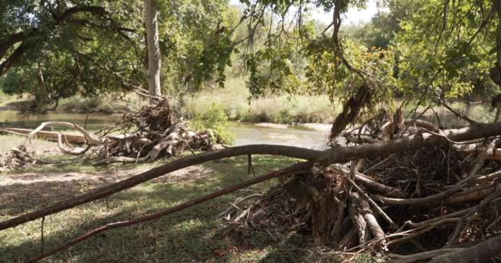 'We are not done': Lampasas’ Sulphur Creek cleanup to press on after July floods