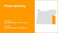 Flood advisory affecting Malheur County until Thursday evening caused by significant rainfall