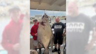 Young man and the sea: Teen fishing off New England coast catches huge halibut bigger than him