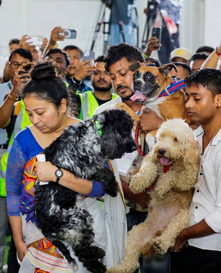 Zubeen’s four canine companions bid adieu to their master