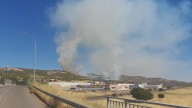 Incendio forestal activo en Puertollano