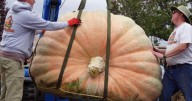 LIST: FanX, fall festivals, giant pumpkins and MORE across Utah this weekend!
