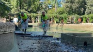 Málaga cierra un parque y Sevilla otros dos más por la muerte de aves ante la sospecha de gripe aviar