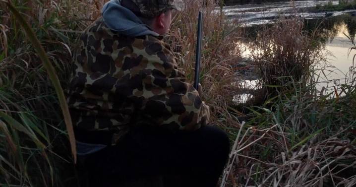 Jake Smith: Working the numbers: Fall game bird and waterfowl outlook