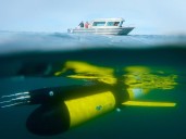 B.C.'s oceans are losing oxygen, with consequences for life