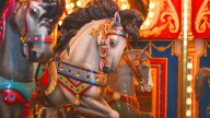 Sugar Sand Park Celebrates 20th Anniversary - South Florida on the Cheap