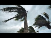 Hurricane Season 2025 - 4 things hurricanes hate